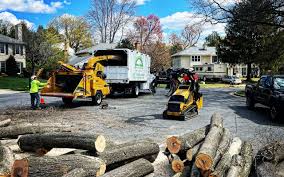 Best Lawn Drainage Solutions  in West Milwaukee, WI