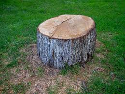 Best Leaf Removal  in West Milwaukee, WI
