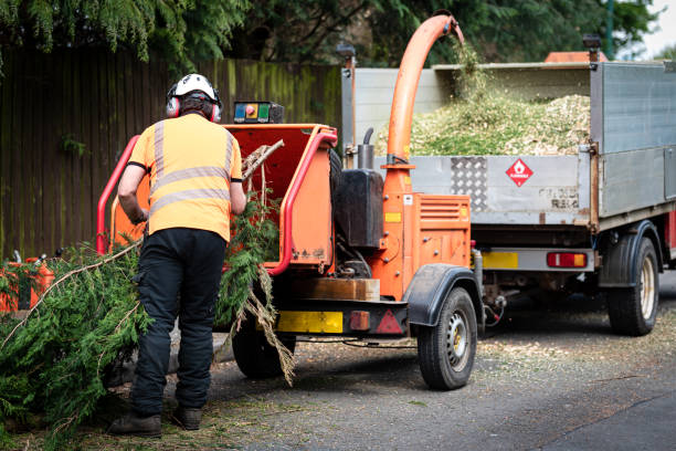 Best Aeration Services  in West Milwaukee, WI