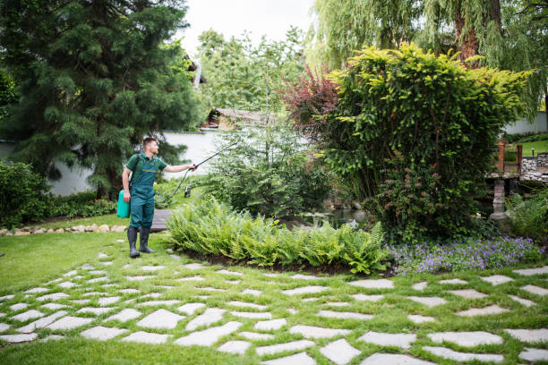 Best Fruit Tree Pruning  in West Milwaukee, WI