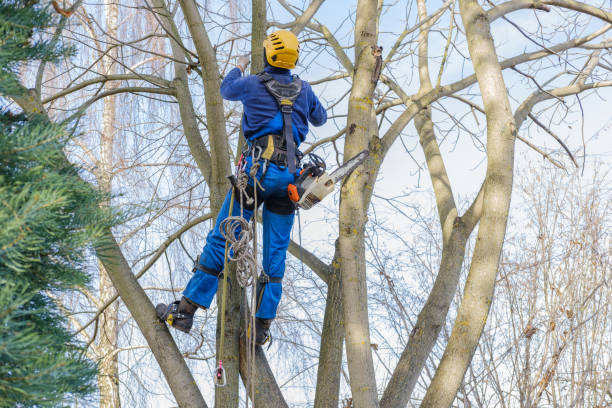 Best Lawn Pest Prevention  in West Milwaukee, WI
