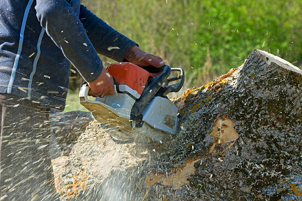 Best Weed Control  in West Milwaukee, WI